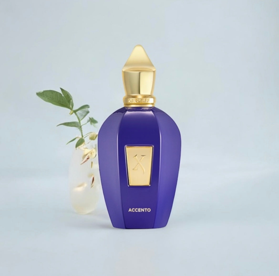 Accento Xerjoff, parfum de niche unisexe aux accords fruités et boisés, disponible en parfumerie Casablanca.