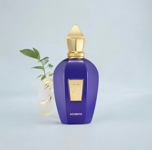 Accento Xerjoff, parfum de niche unisexe aux accords fruités et boisés, disponible en parfumerie Casablanca.