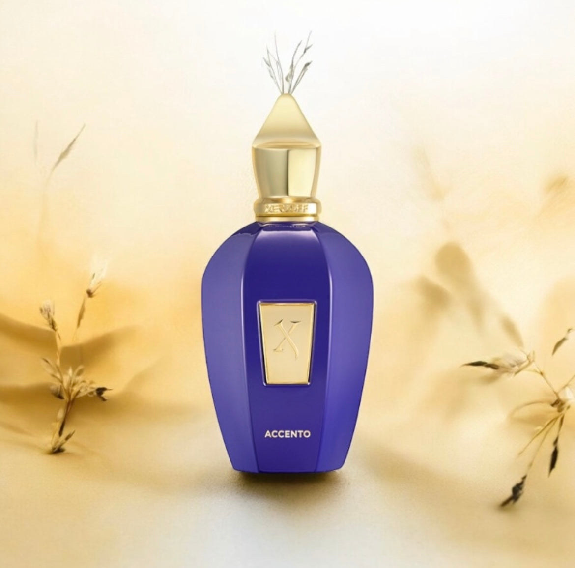 Accento Xerjoff, parfum de niche unisexe aux accords fruités et boisés, disponible en parfumerie Casablanca.