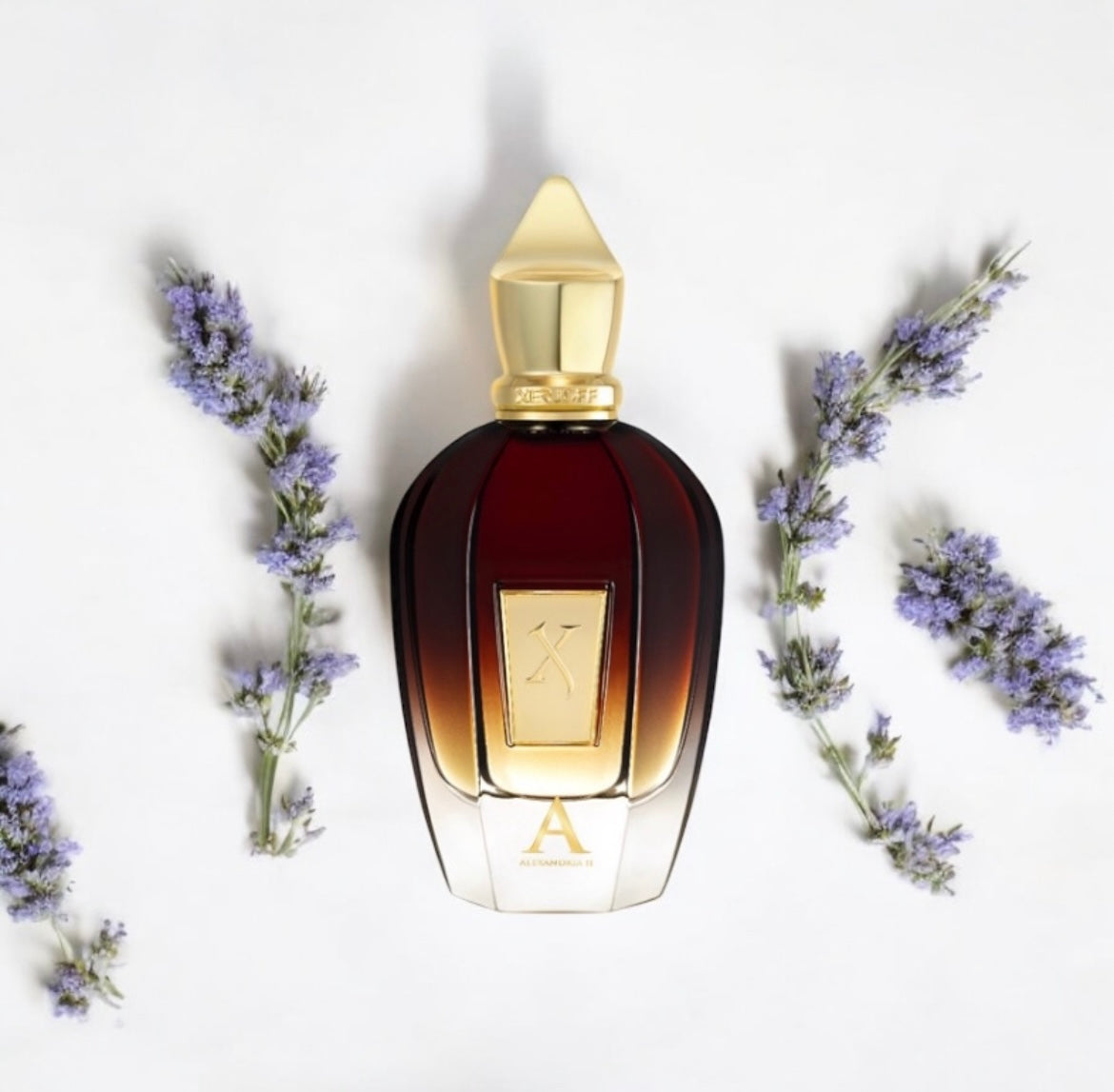Alexandria II Xerjoff, parfum de niche unisexe boisé et oriental, disponible en parfumerie Casablanca.
